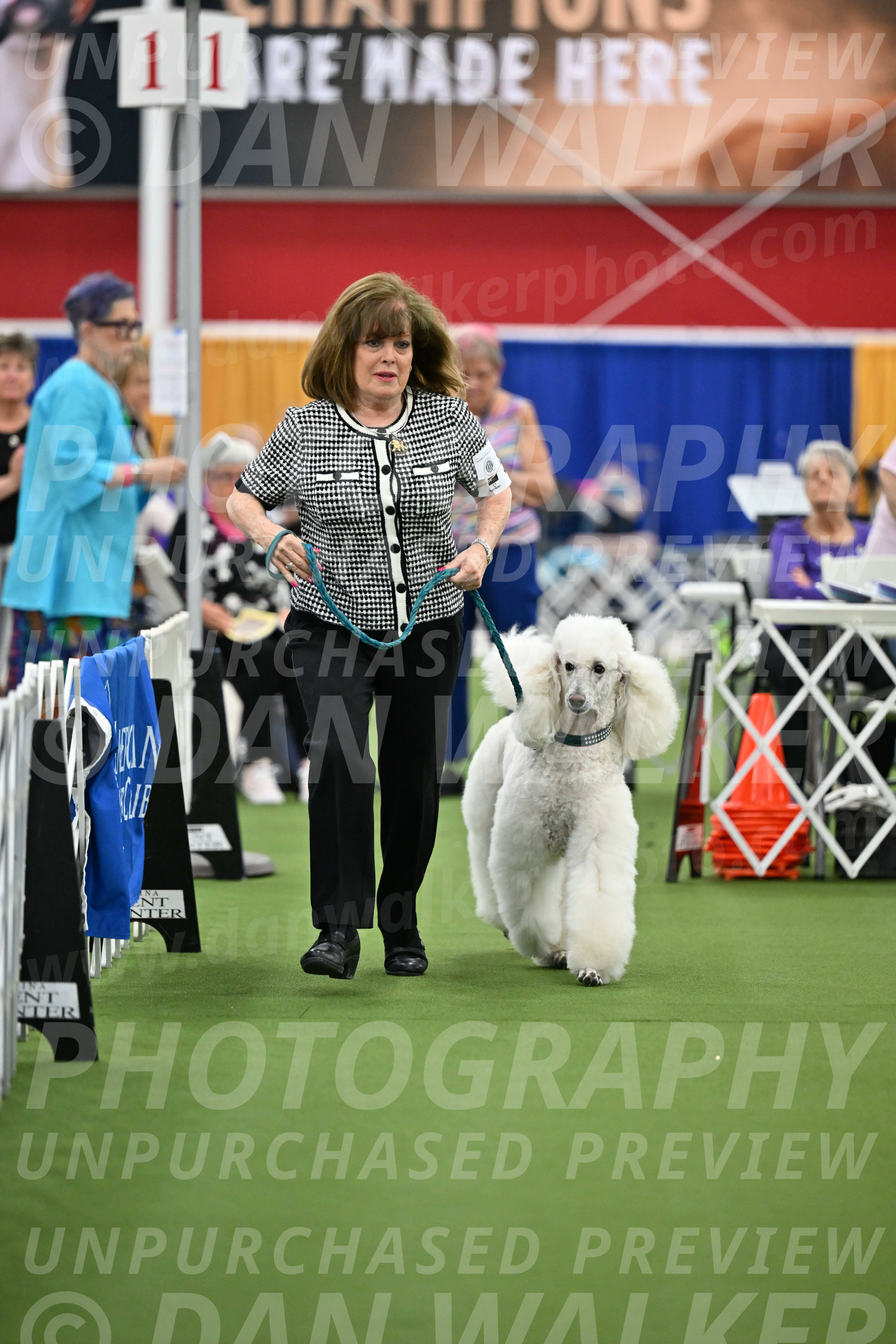 Parade-of-Titles_2750