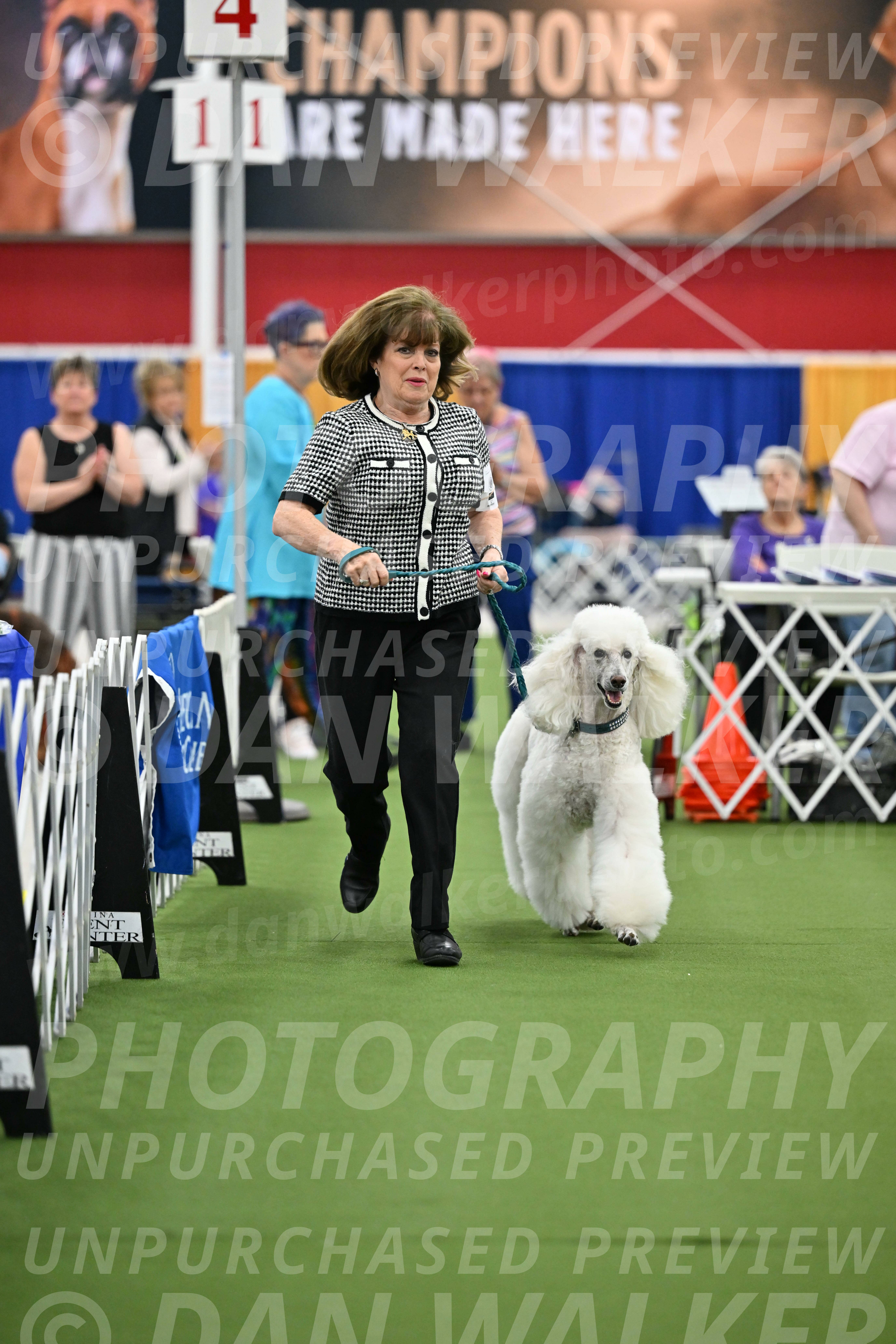 Parade-of-Titles_2752