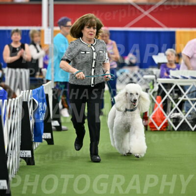 Parade-of-Titles_2752