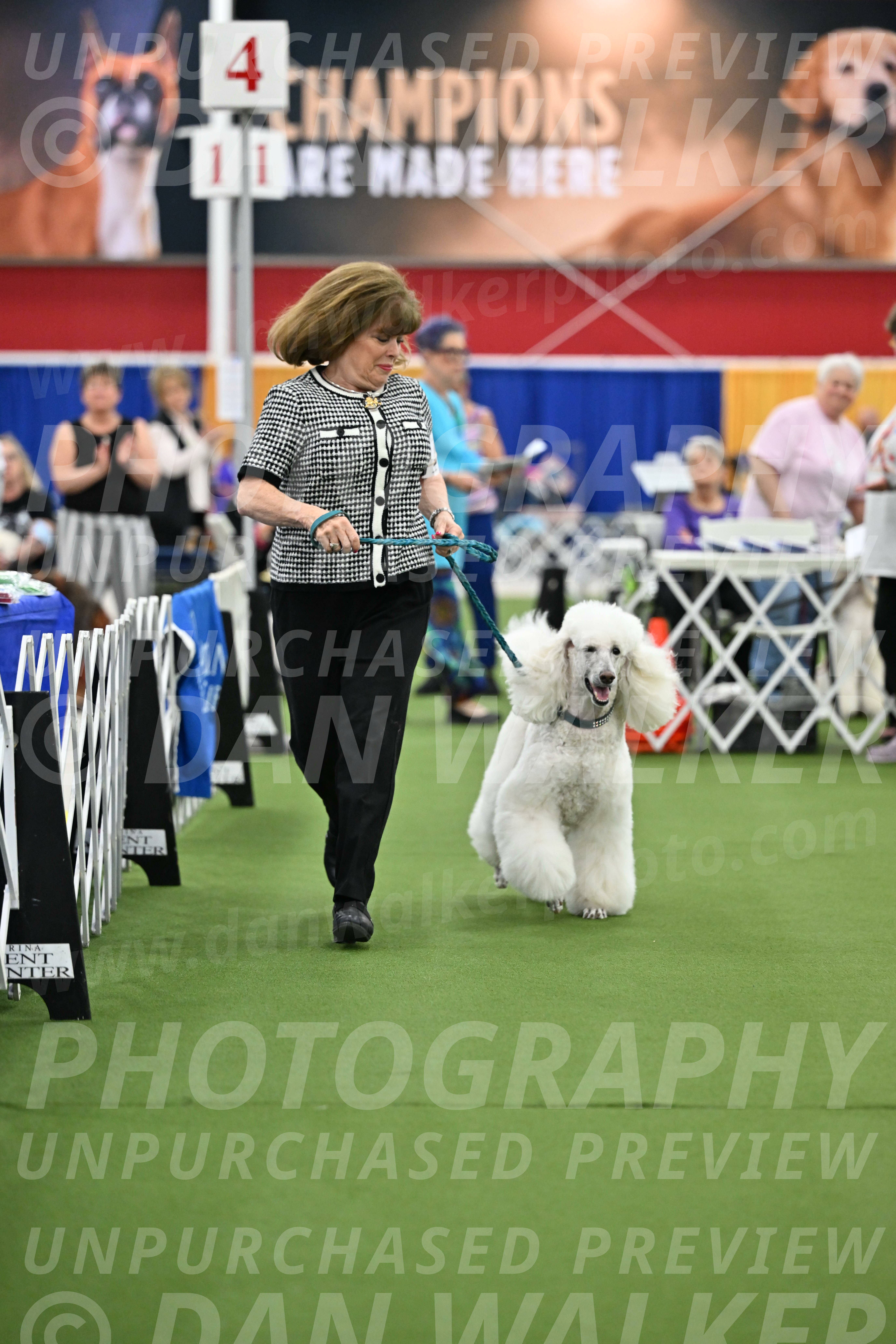 Parade-of-Titles_2754