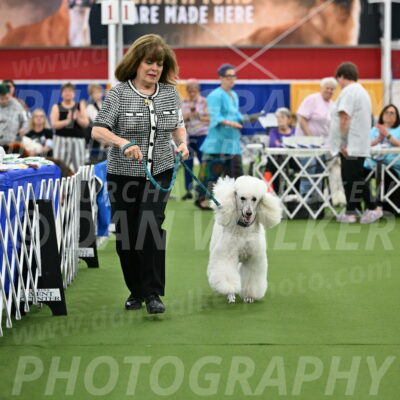 Parade-of-Titles_2756