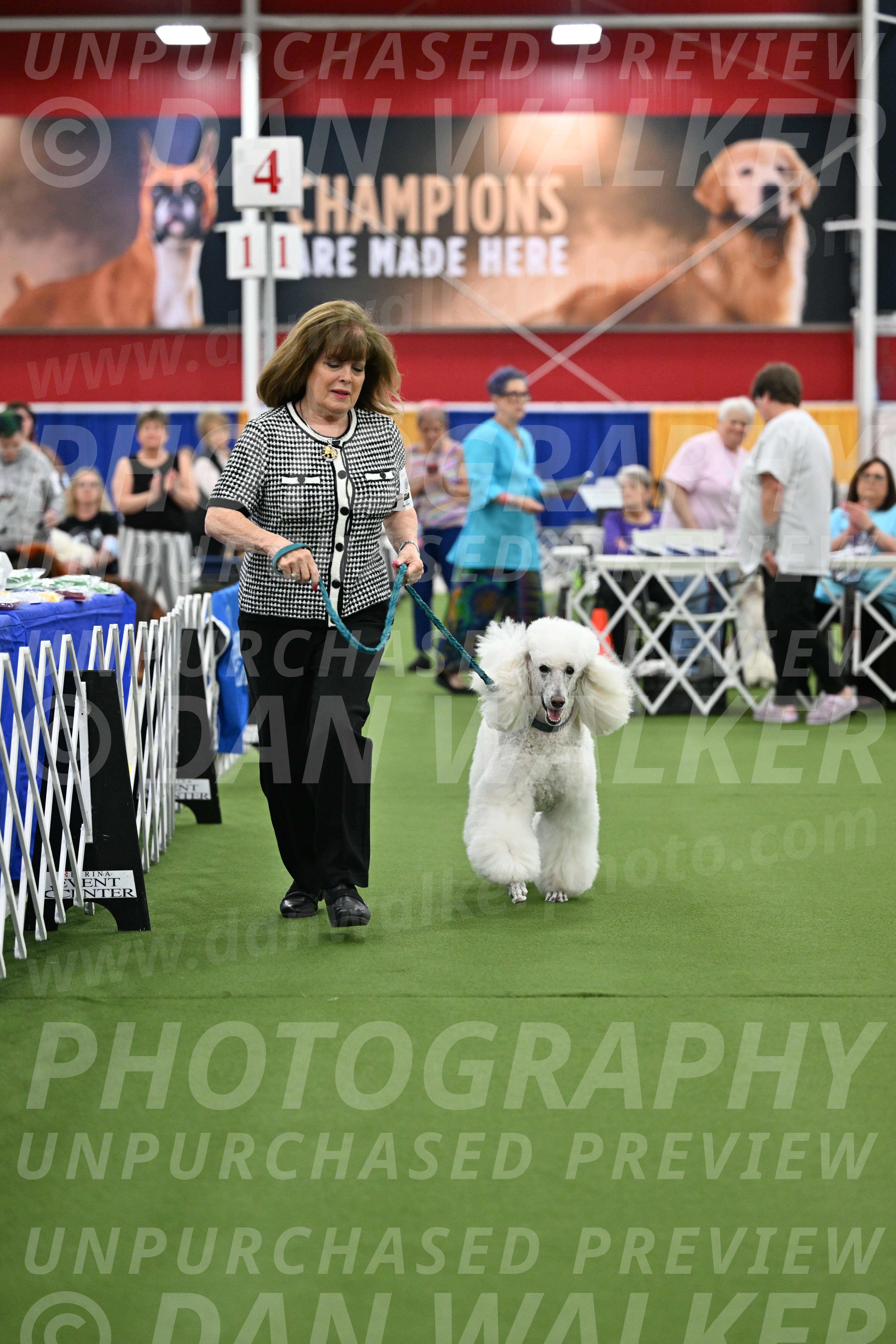 Parade-of-Titles_2756