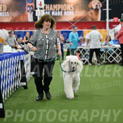 Parade-of-Titles_2758