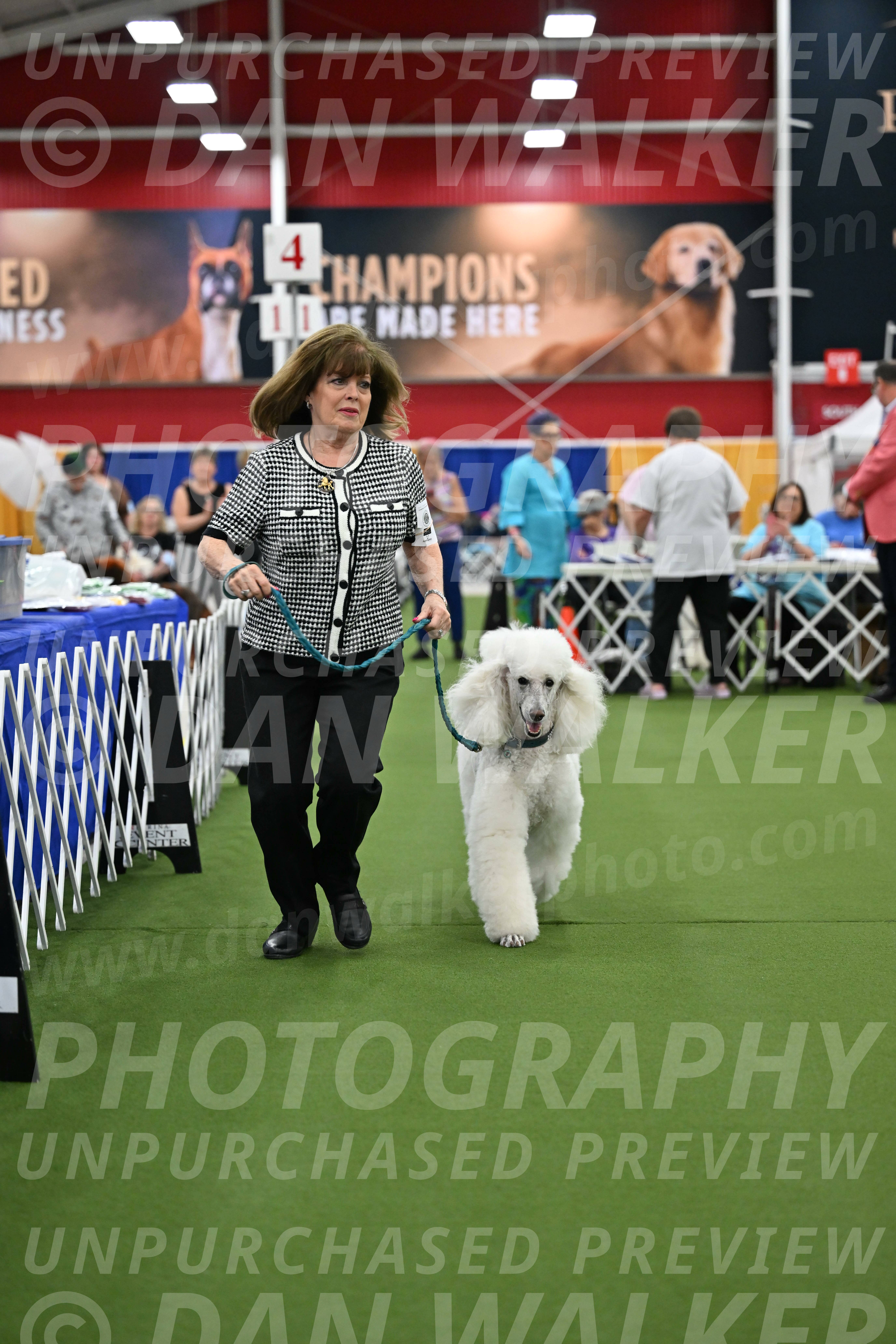 Parade-of-Titles_2758