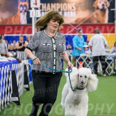 Parade-of-Titles_2759-Enhanced-NR