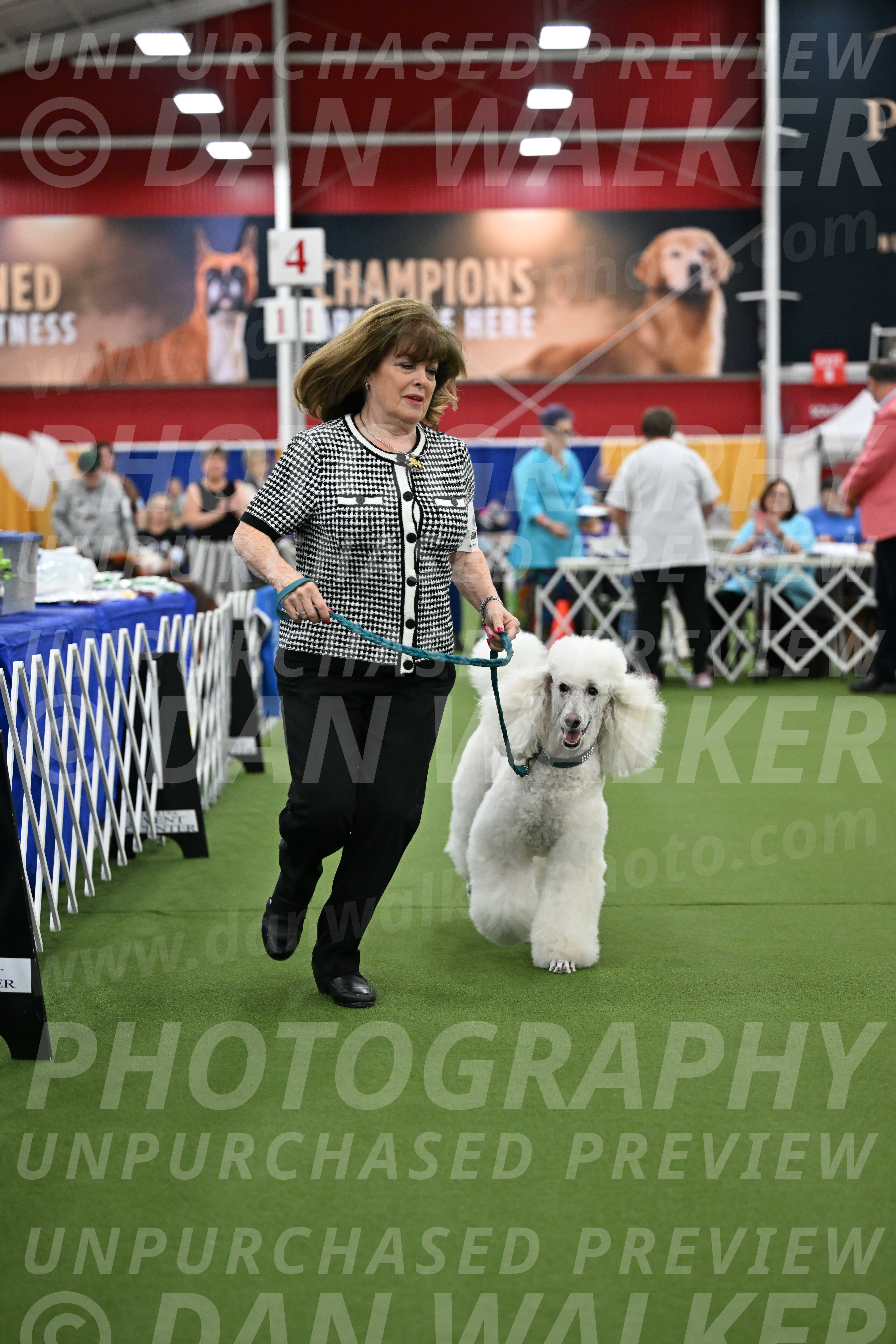 Parade-of-Titles_2759