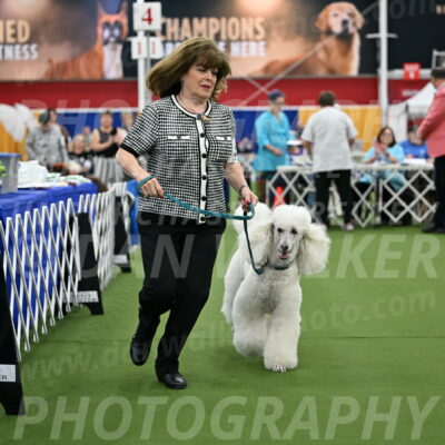 Parade-of-Titles_2759