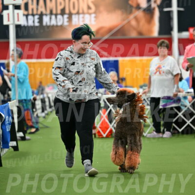 Parade-of-Titles_2761