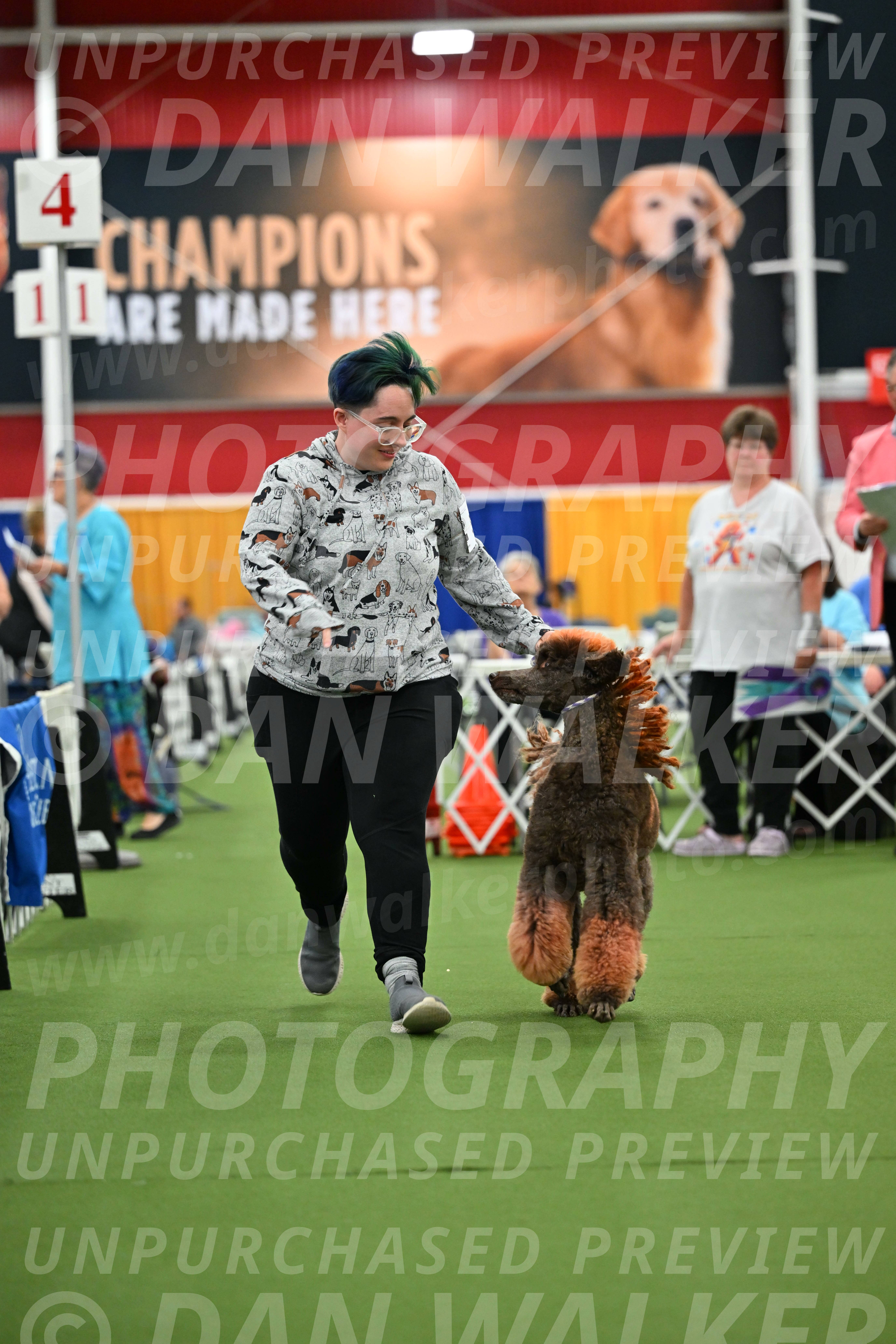 Parade-of-Titles_2761
