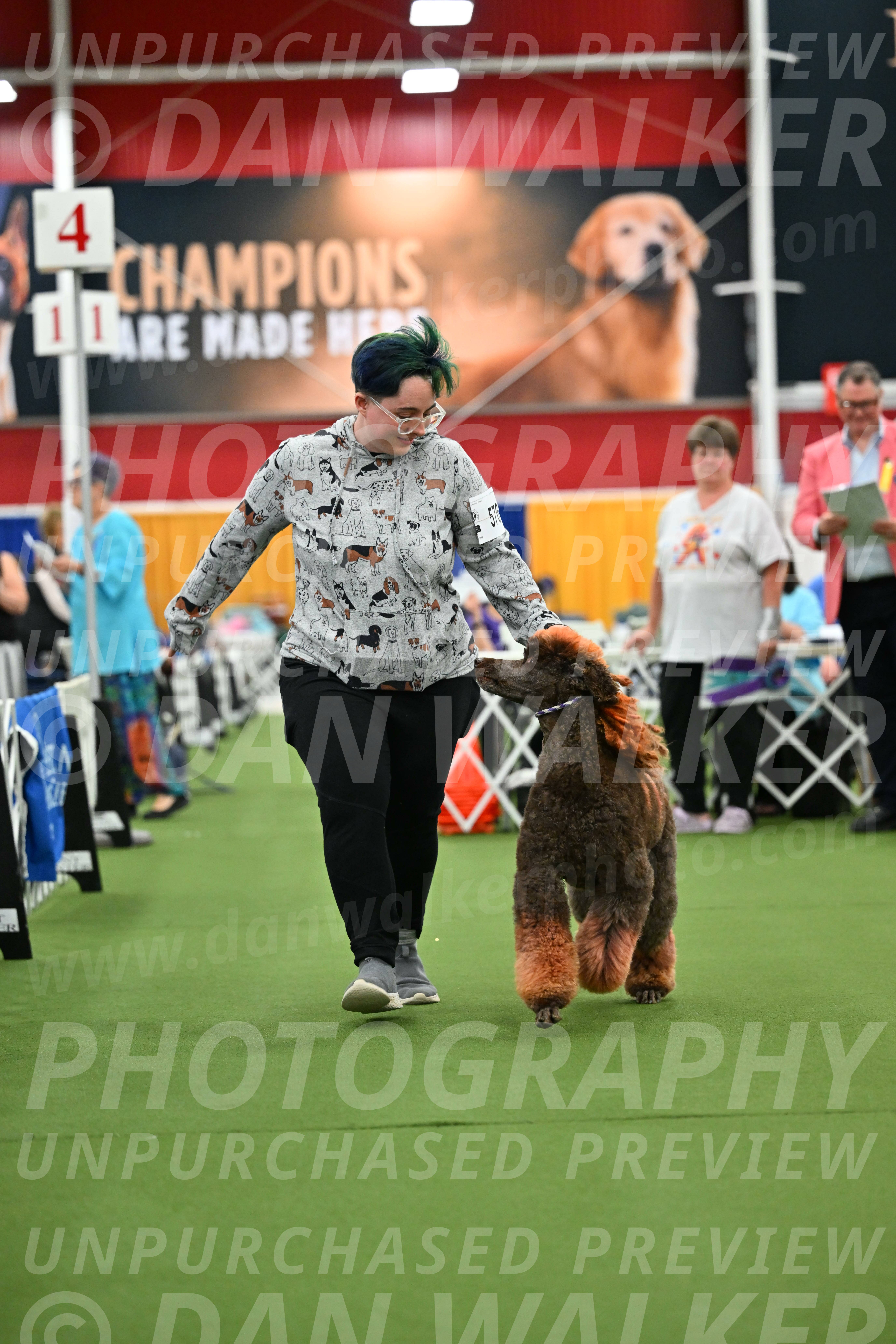 Parade-of-Titles_2762