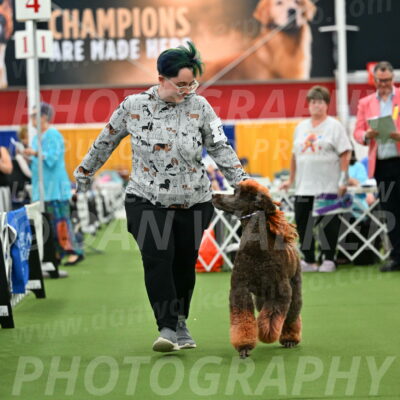 Parade-of-Titles_2762