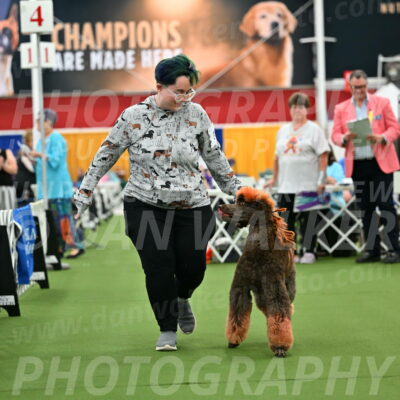 Parade-of-Titles_2764