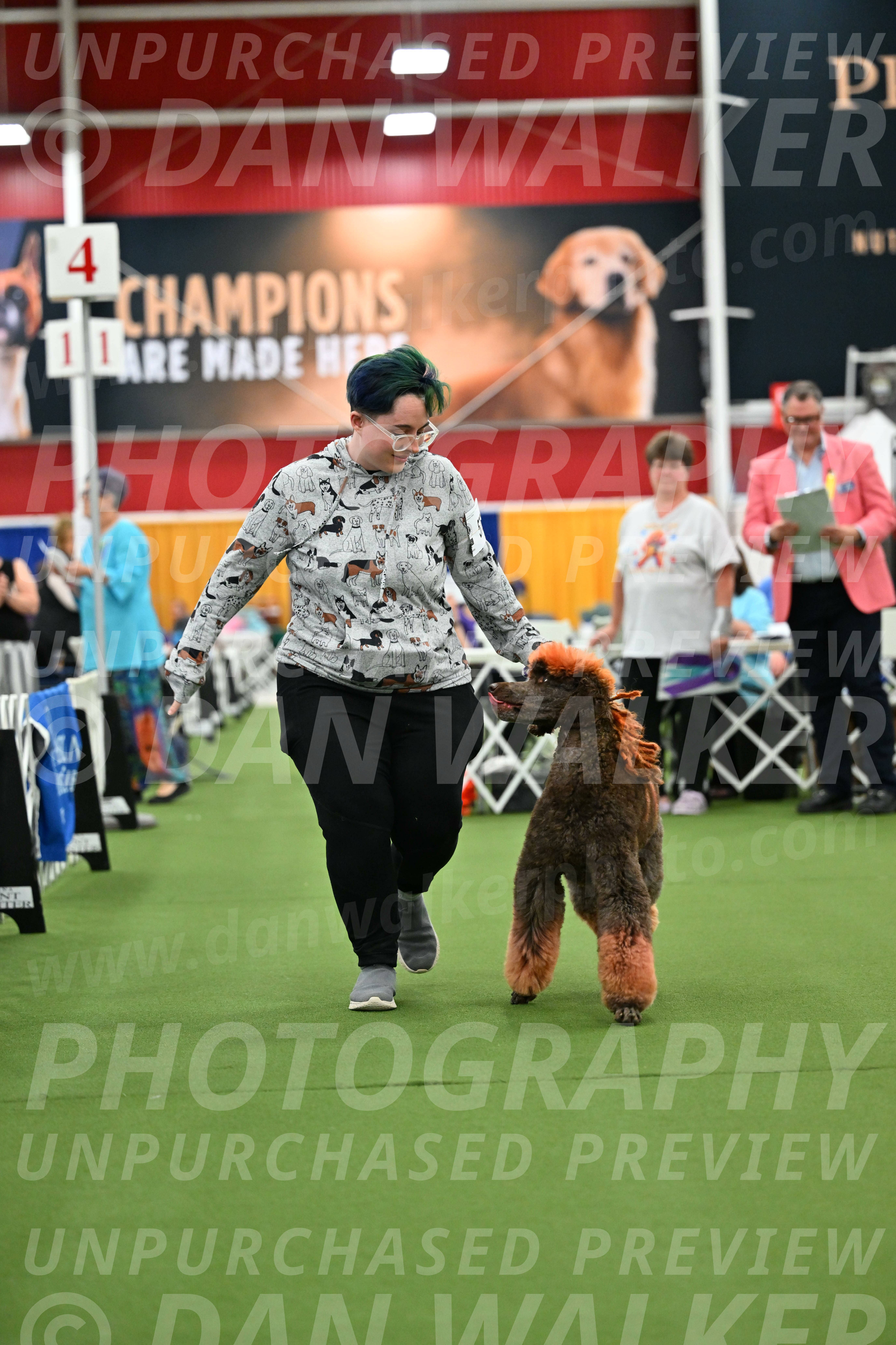 Parade-of-Titles_2764