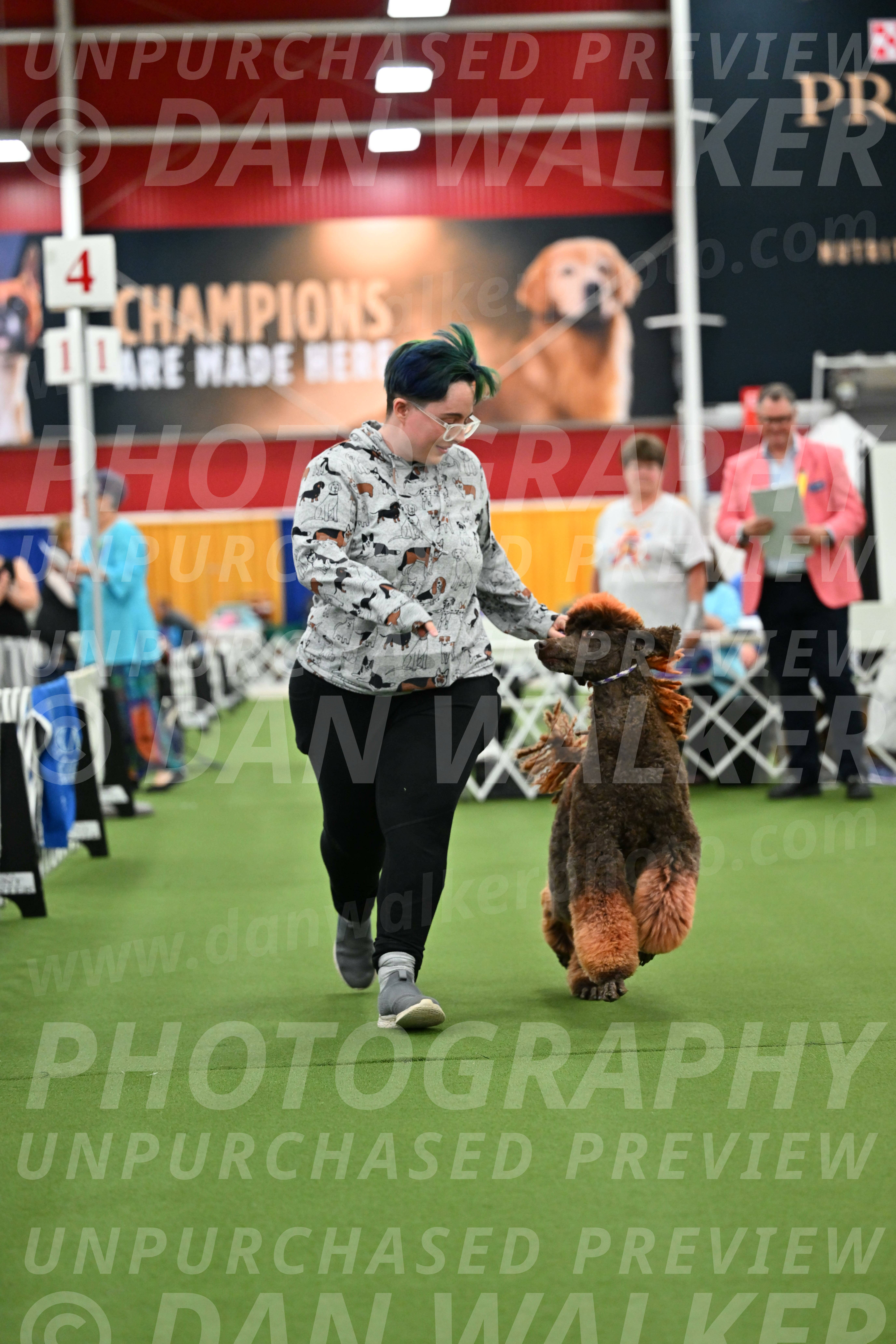 Parade-of-Titles_2765