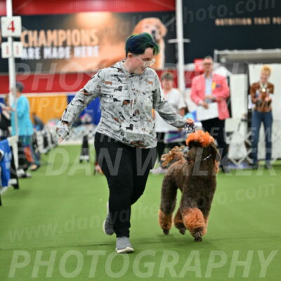 Parade-of-Titles_2767