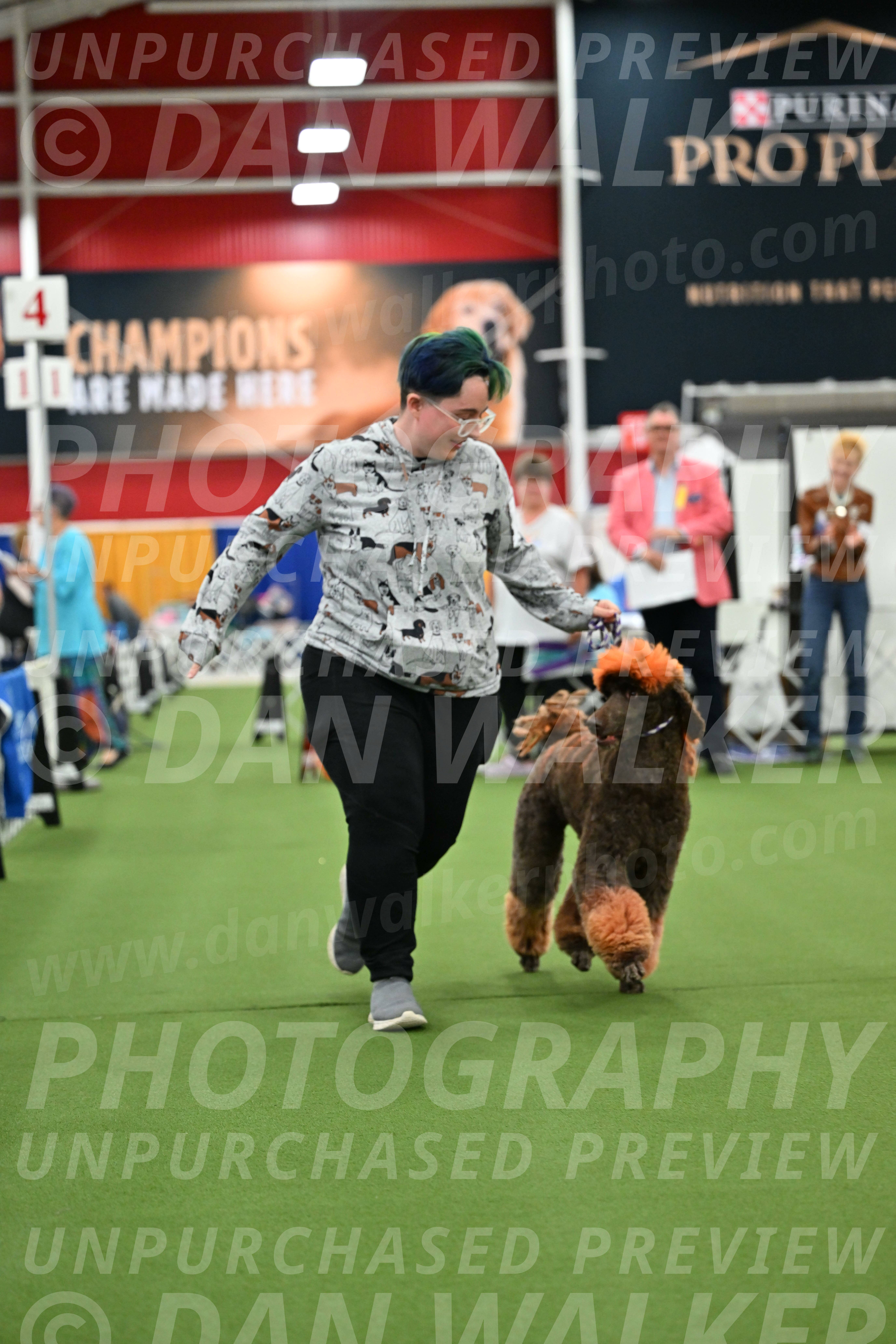 Parade-of-Titles_2767