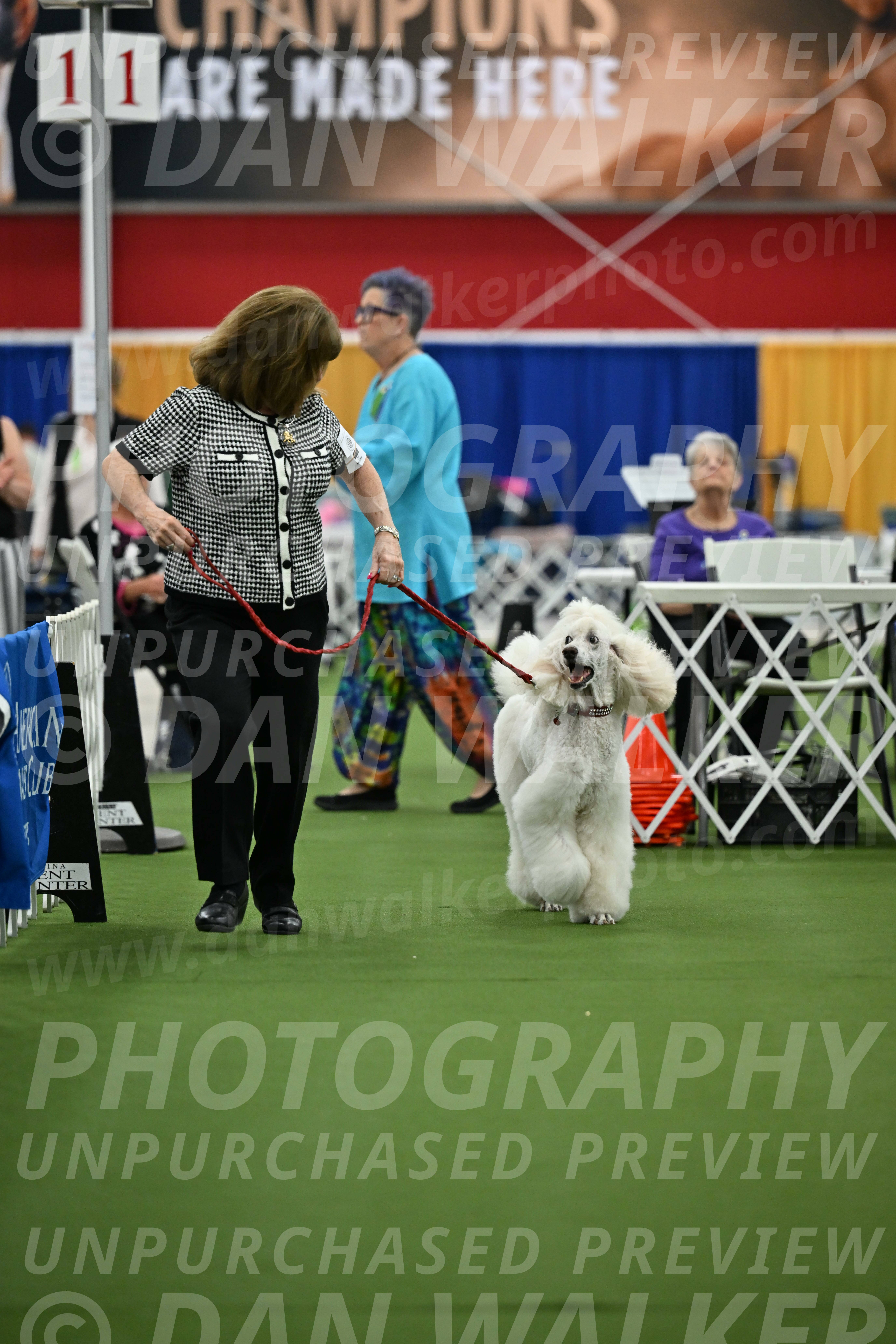 Parade-of-Titles_2769