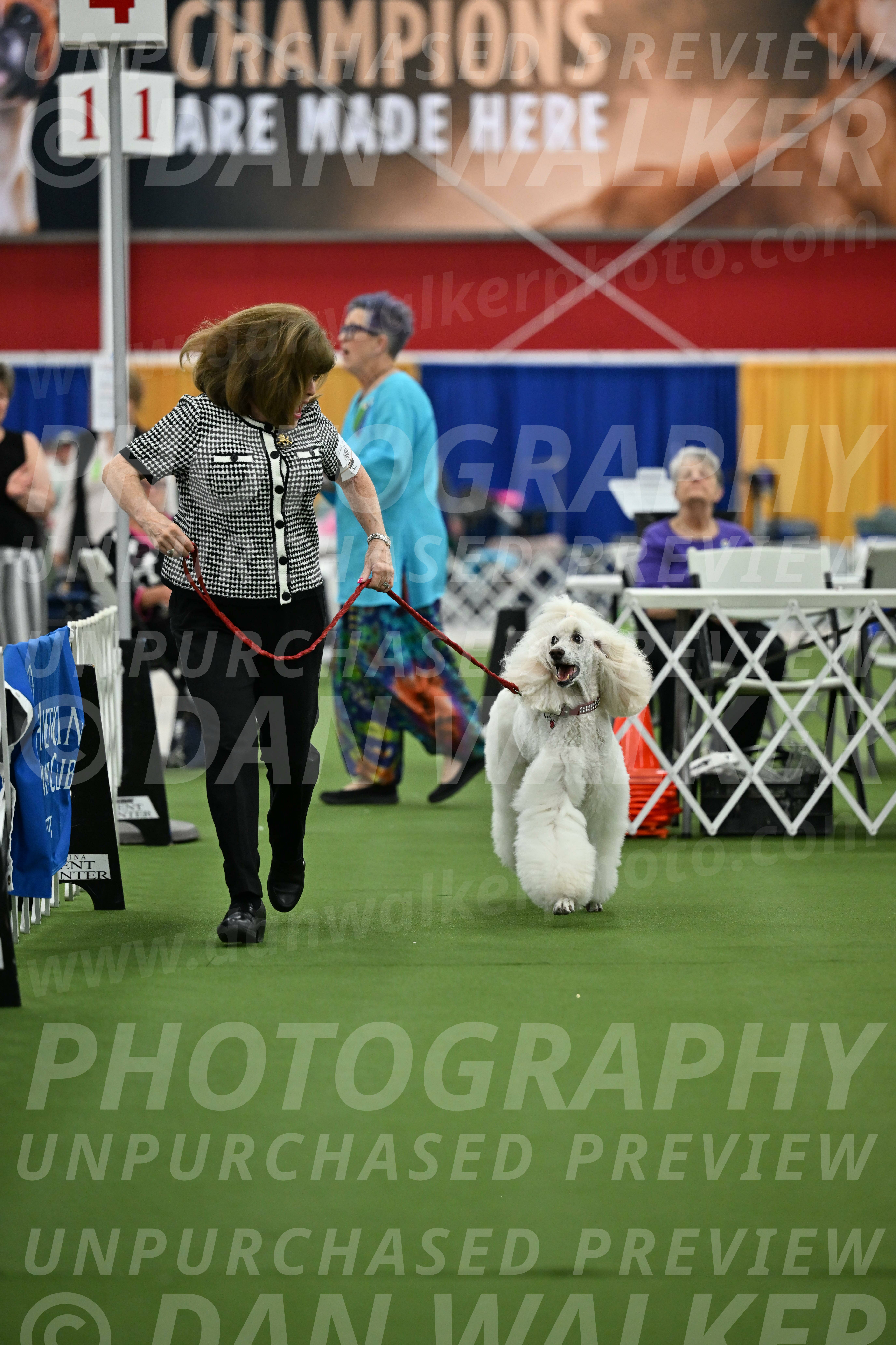 Parade-of-Titles_2770