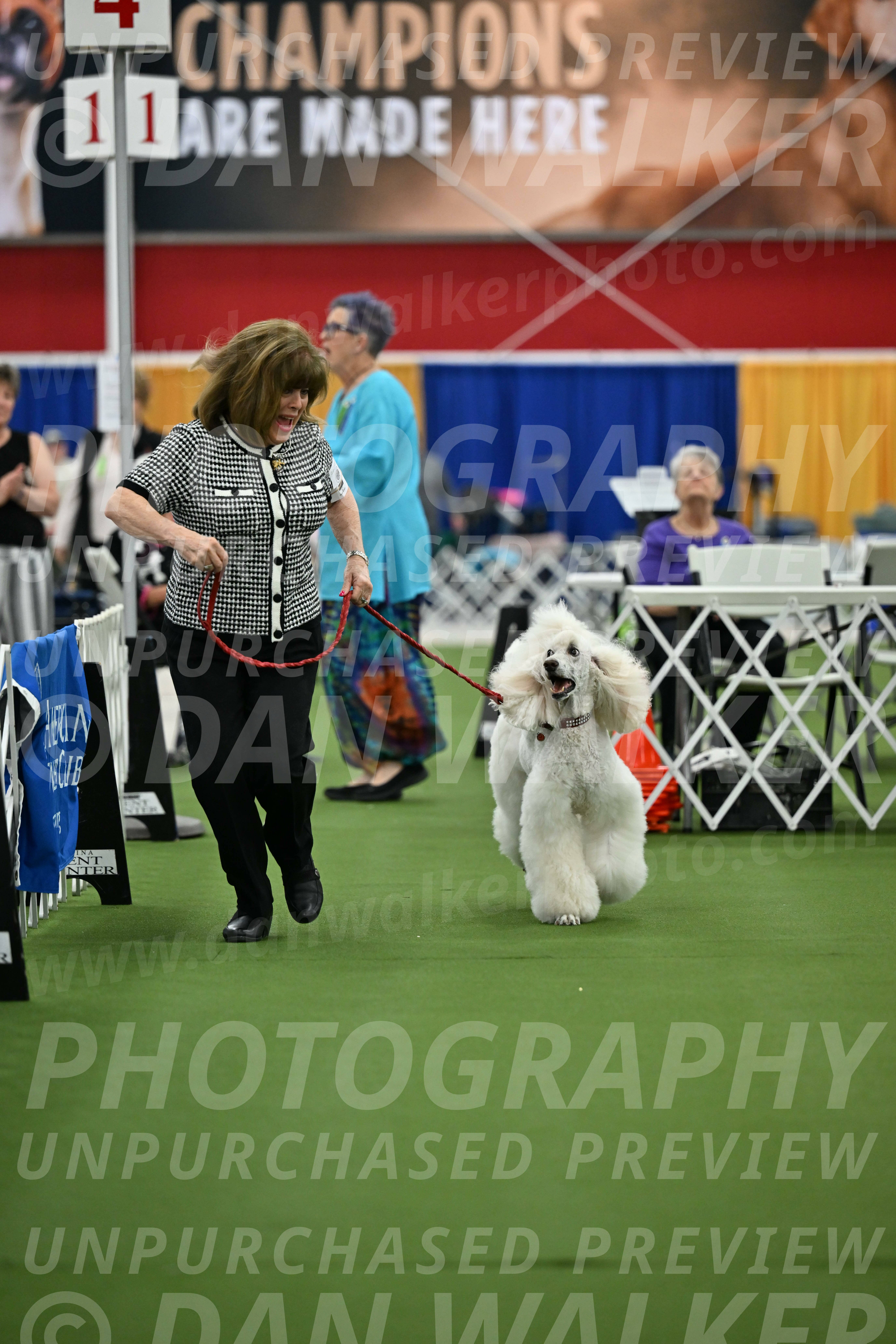 Parade-of-Titles_2771