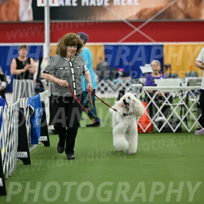 Parade-of-Titles_2773