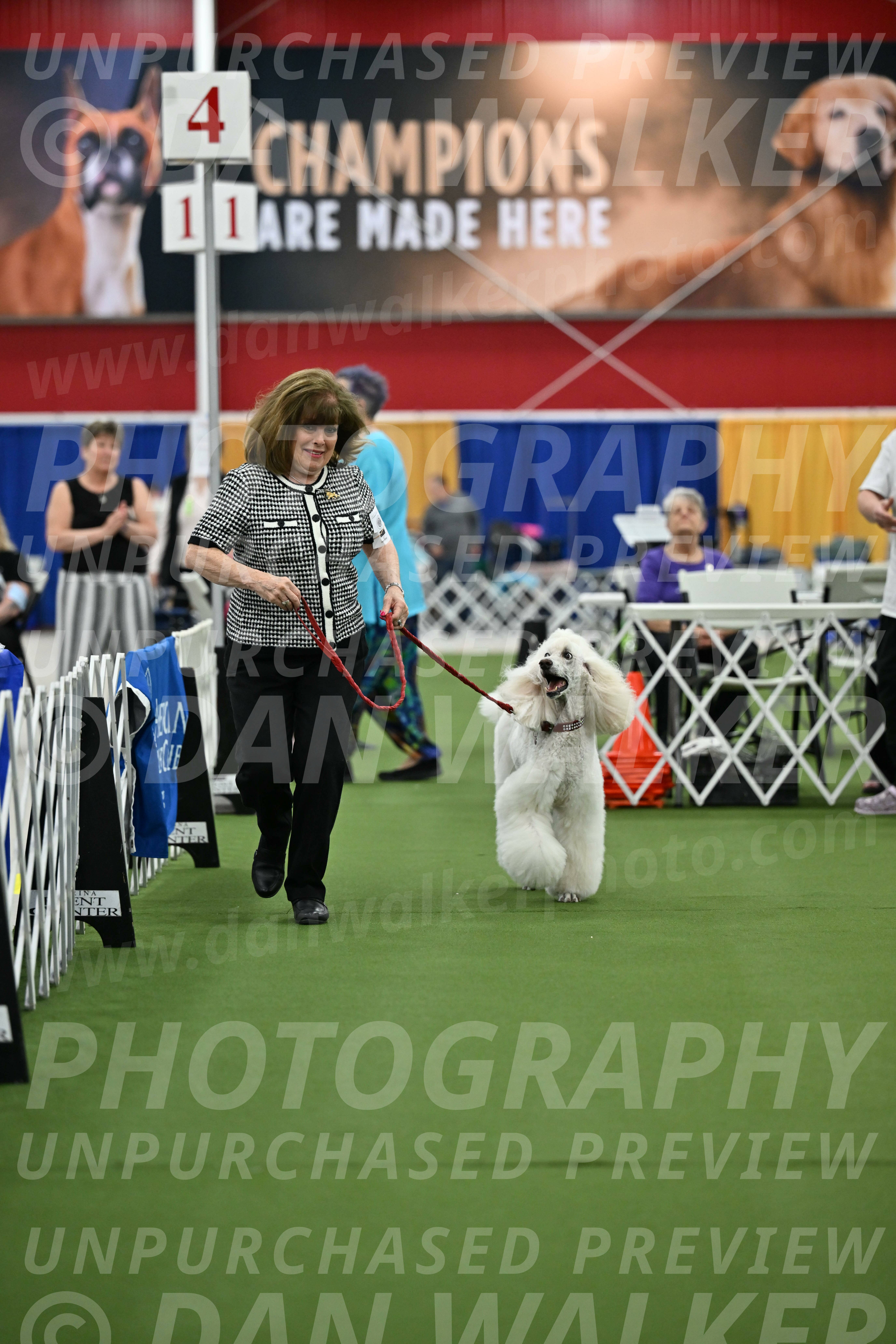 Parade-of-Titles_2773