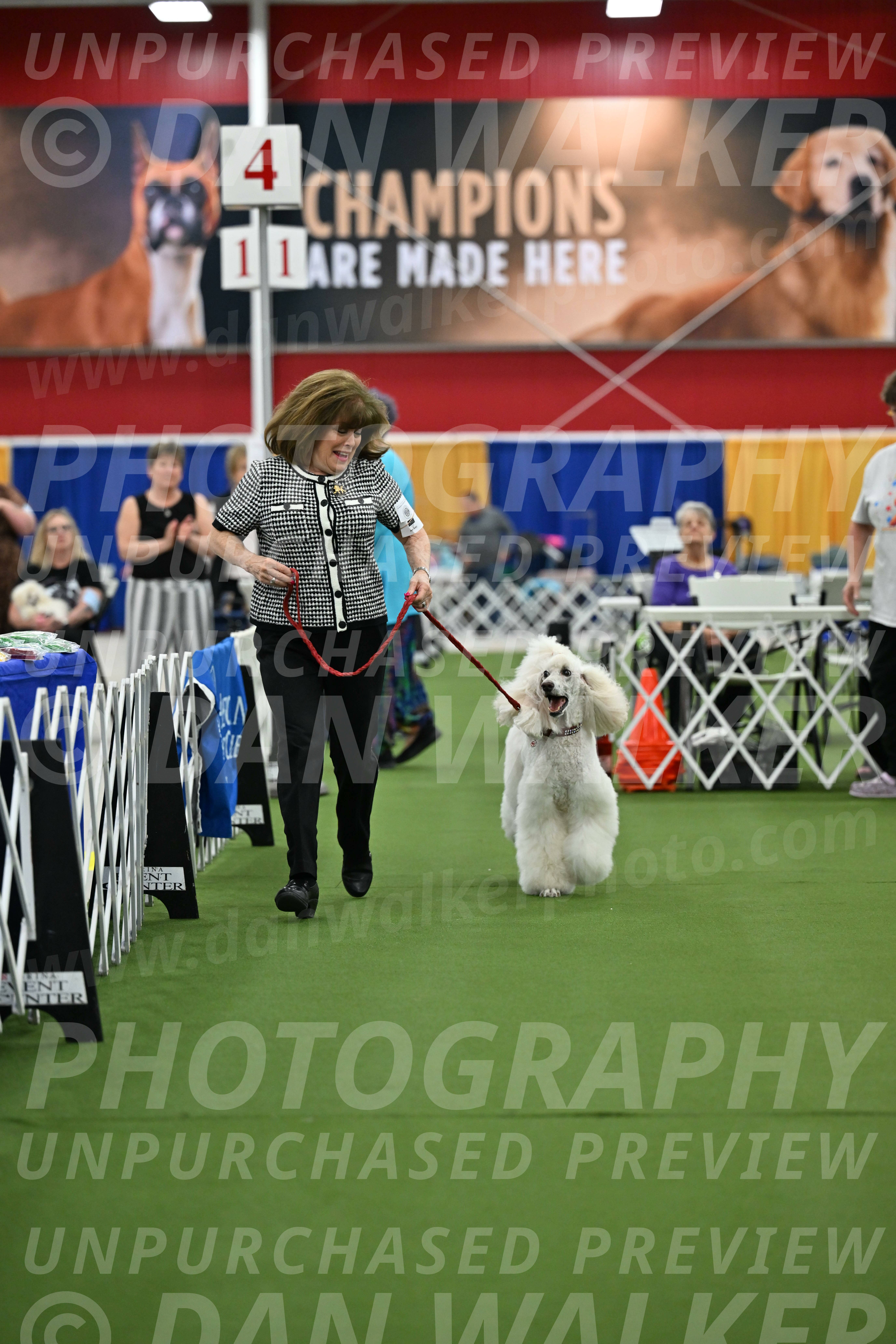 Parade-of-Titles_2774