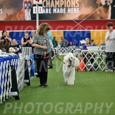 Parade-of-Titles_2775