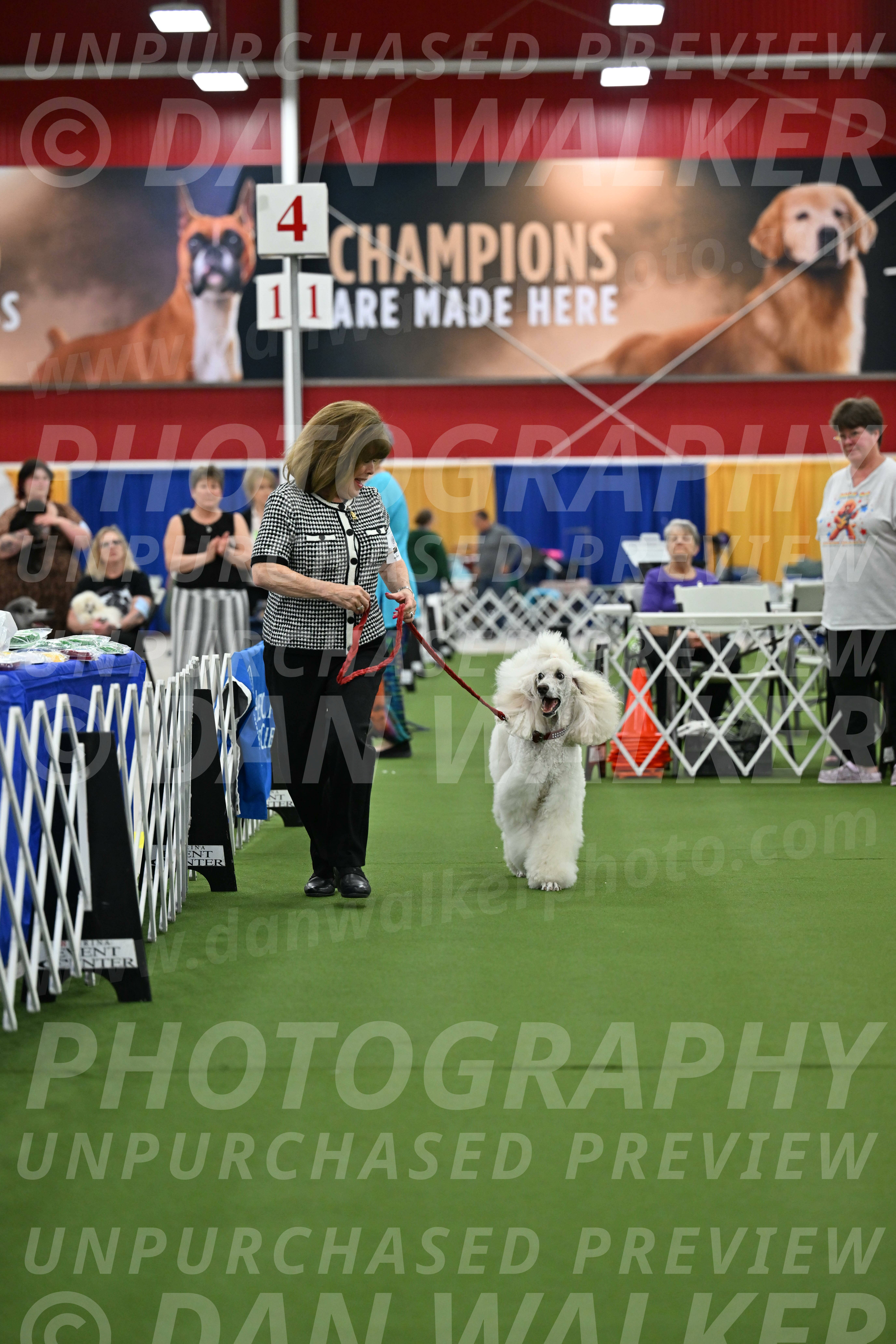 Parade-of-Titles_2775