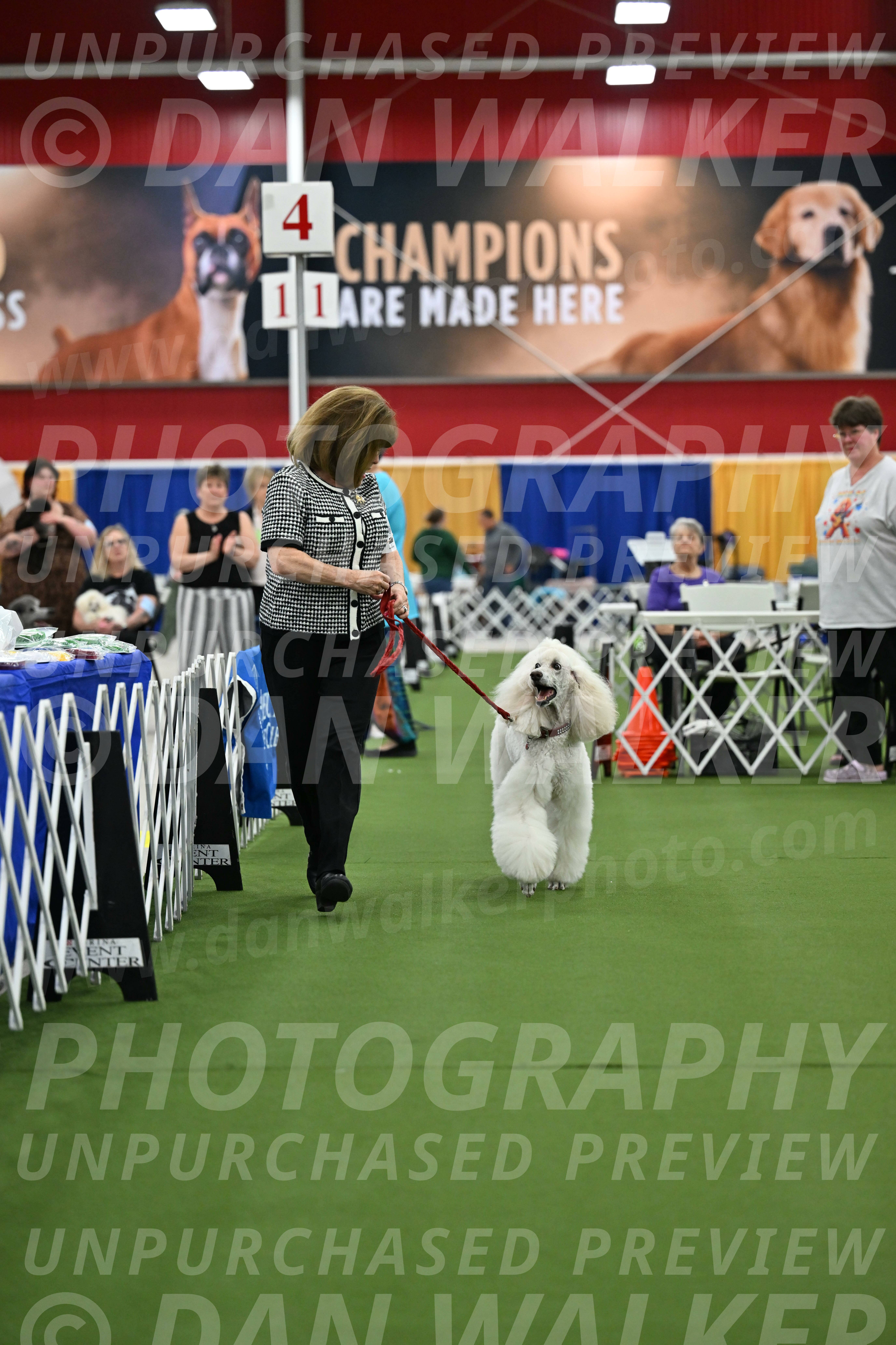 Parade-of-Titles_2776