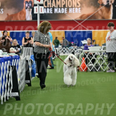 Parade-of-Titles_2776