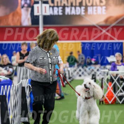 Parade-of-Titles_2777-Enhanced-NR