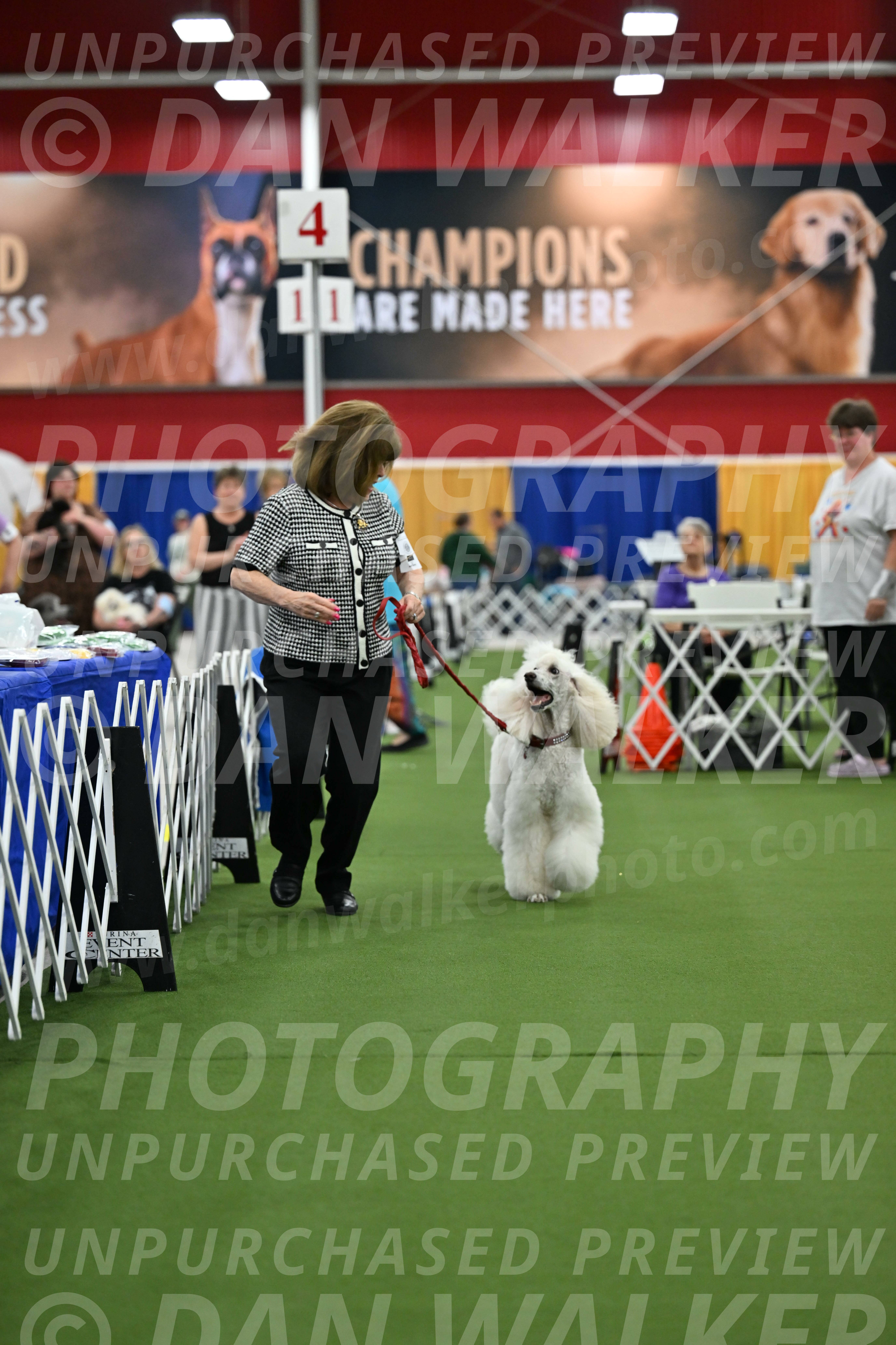 Parade-of-Titles_2777