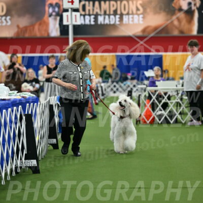 Parade-of-Titles_2777