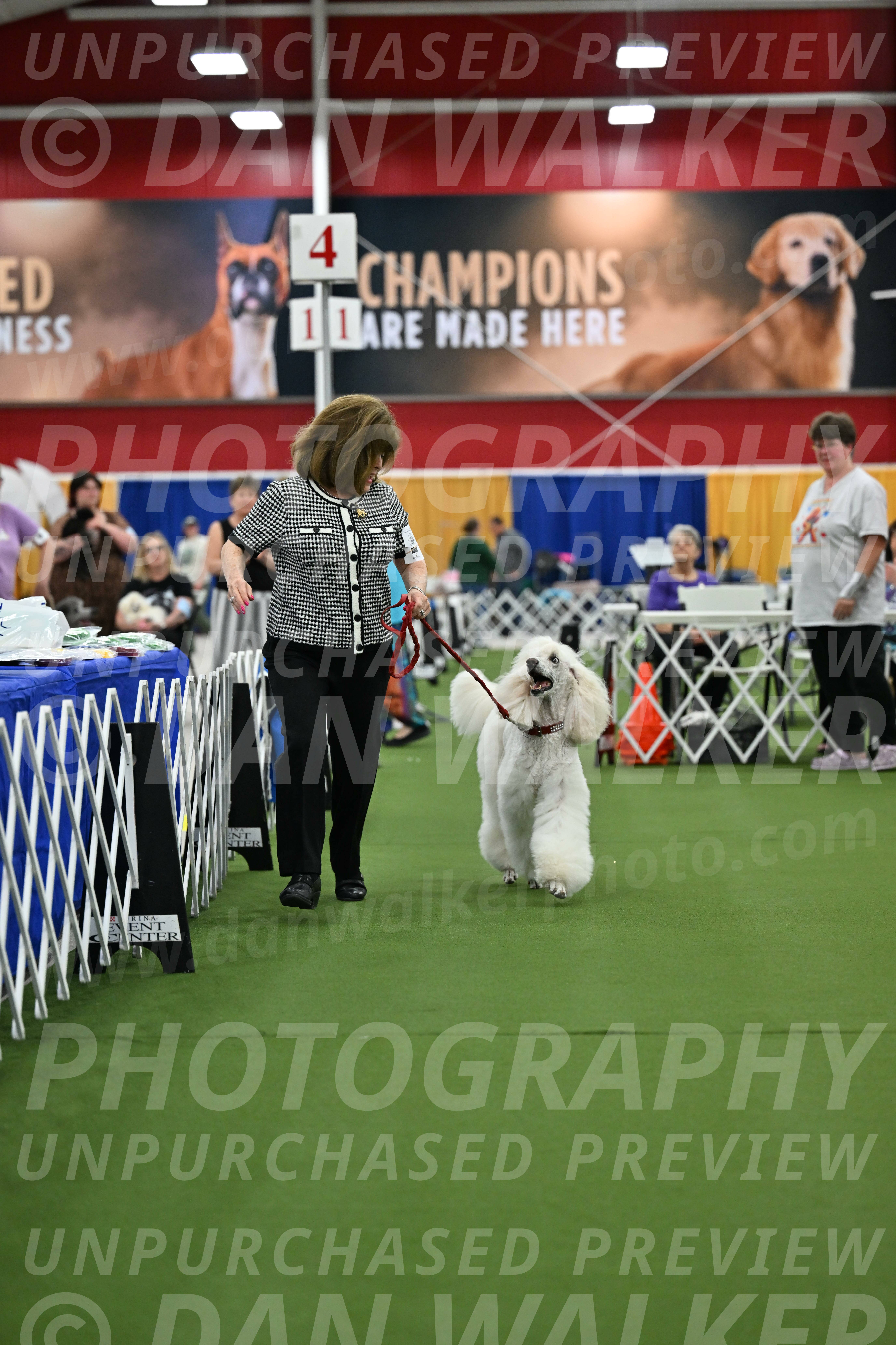 Parade-of-Titles_2778