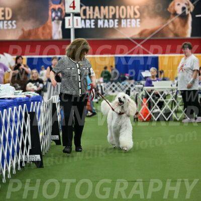 Parade-of-Titles_2778