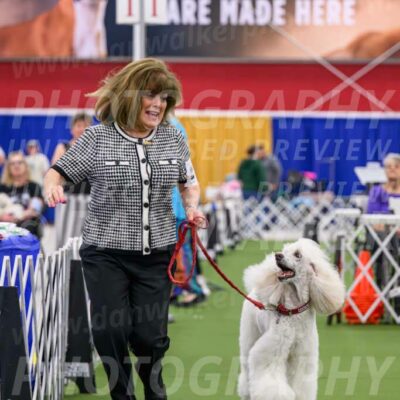 Parade-of-Titles_2779-Enhanced-NR