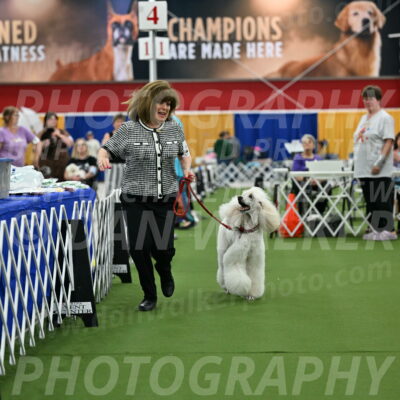 Parade-of-Titles_2779