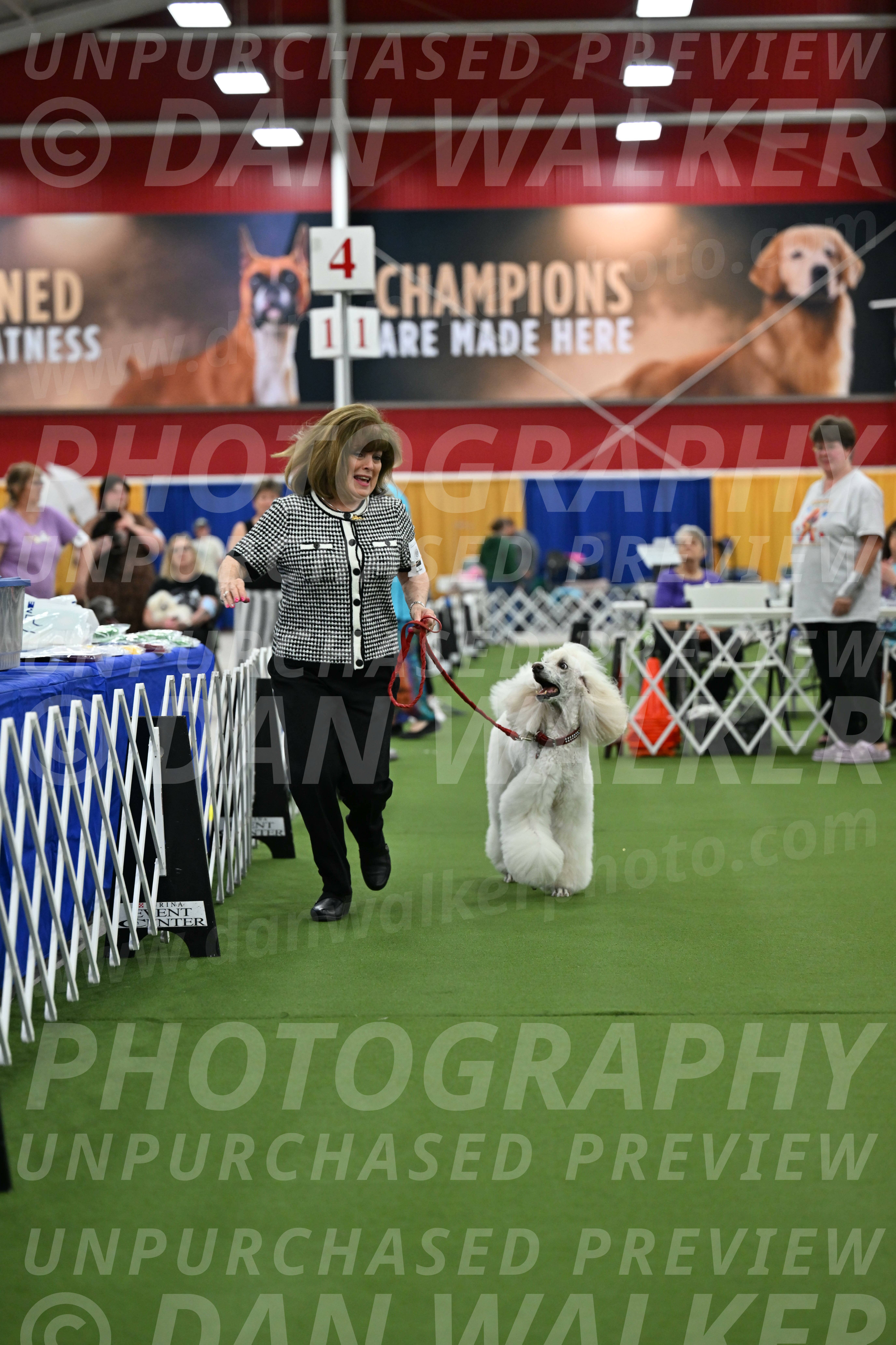 Parade-of-Titles_2779
