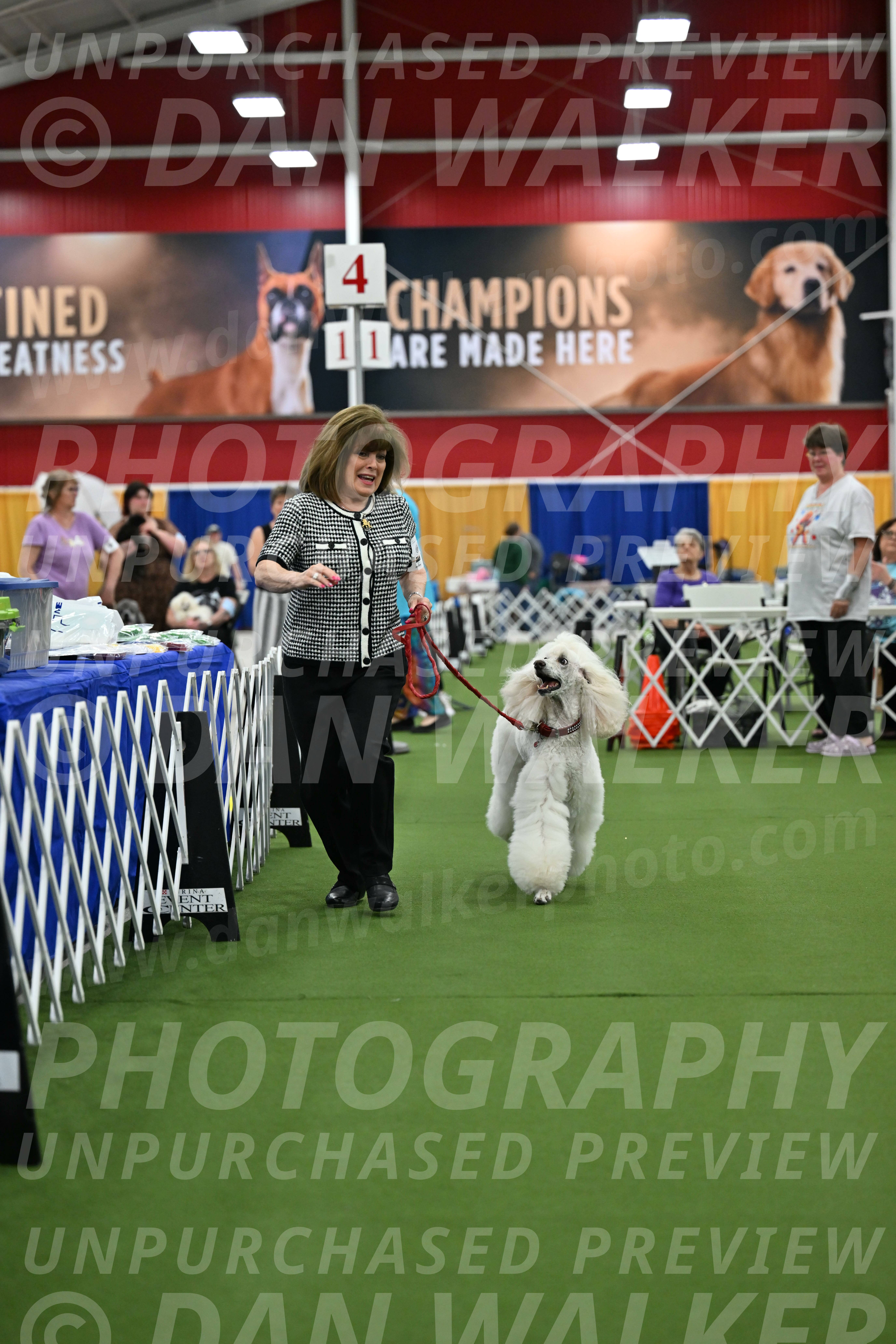 Parade-of-Titles_2780