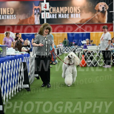 Parade-of-Titles_2780