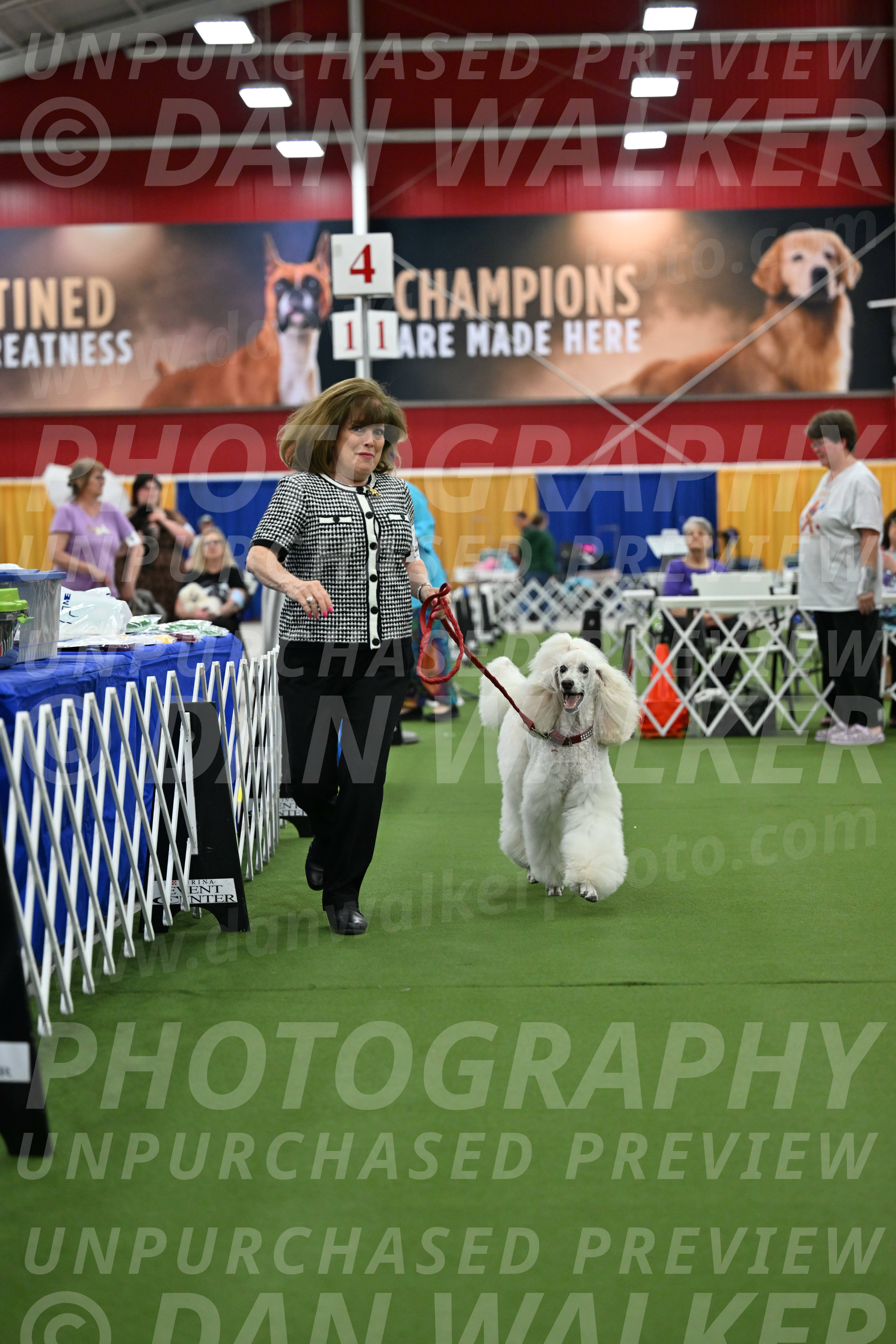 Parade-of-Titles_2781