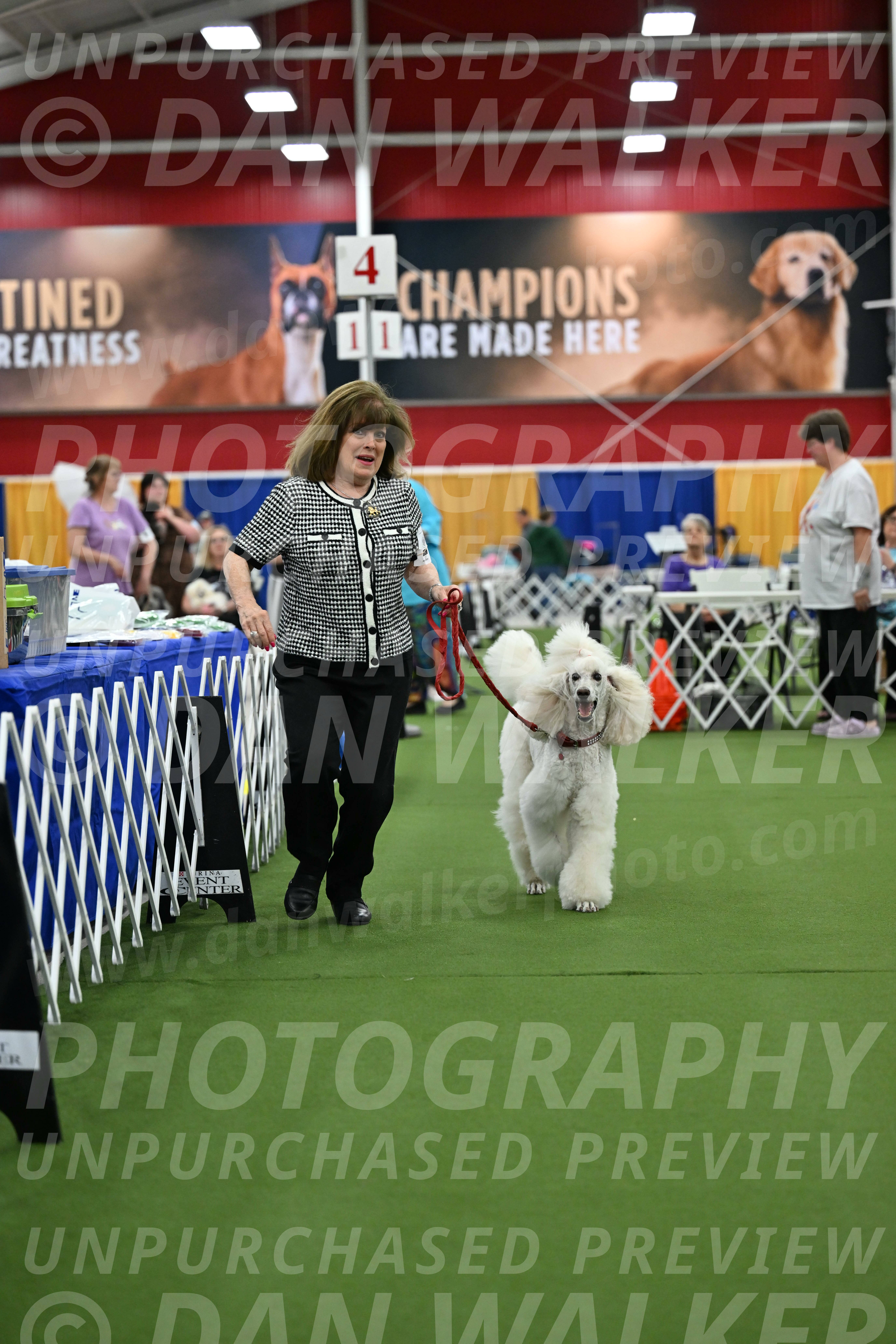 Parade-of-Titles_2782