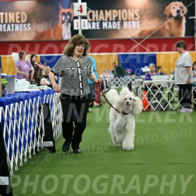 Parade-of-Titles_2782