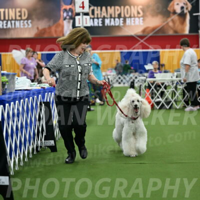 Parade-of-Titles_2783