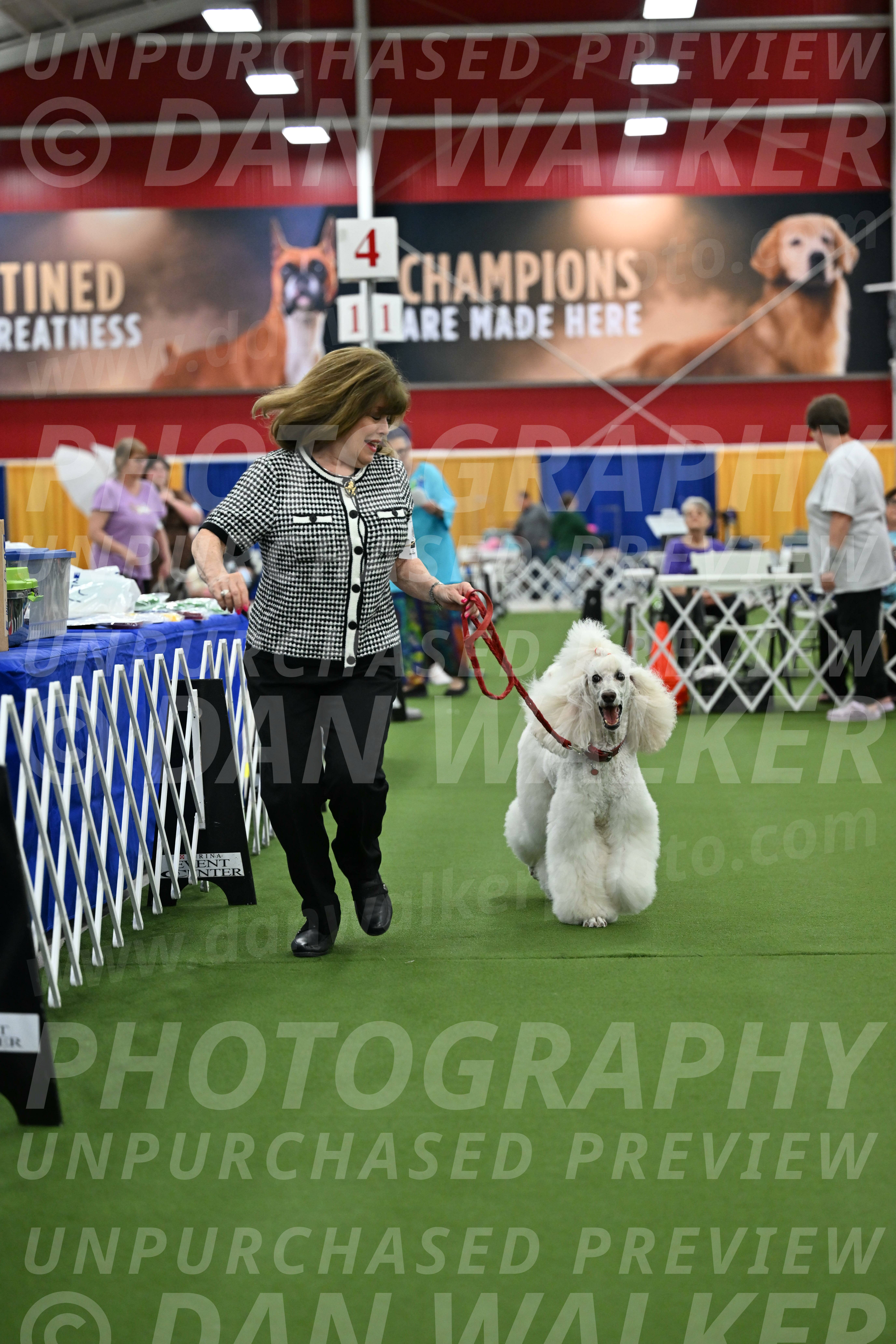 Parade-of-Titles_2783