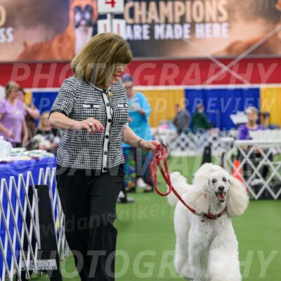 Parade-of-Titles_2784-Enhanced-NR