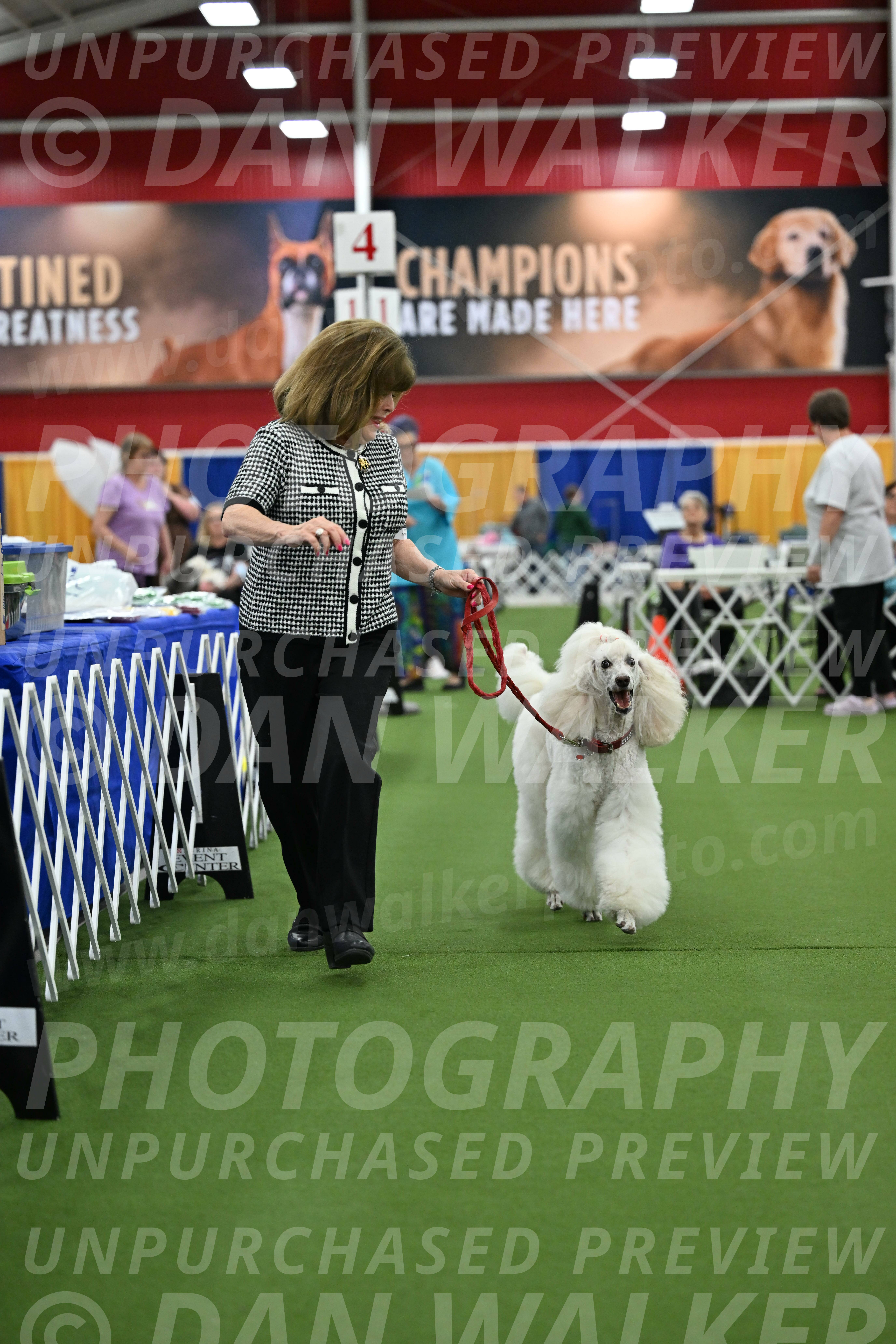 Parade-of-Titles_2784