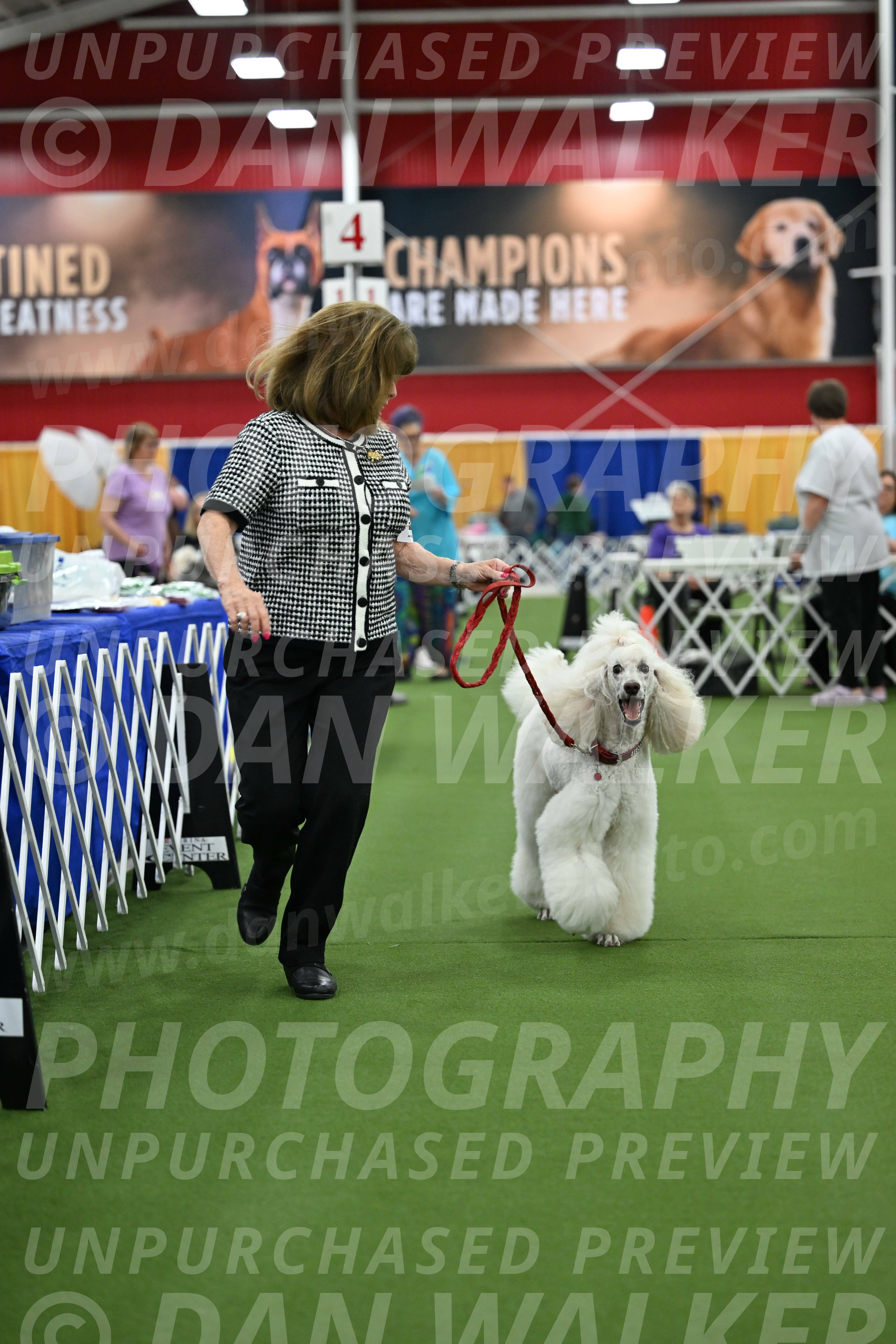 Parade-of-Titles_2785