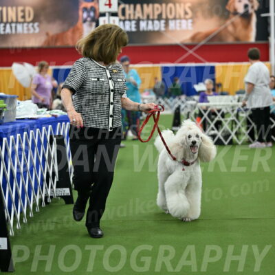 Parade-of-Titles_2785