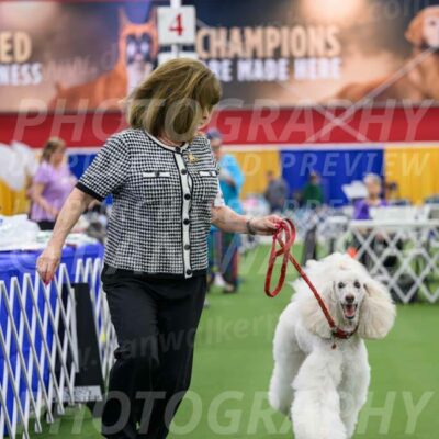 Parade-of-Titles_2786-Enhanced-NR